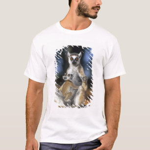 Ring-tailed Lemur, (Lemur catta), Mother and T-Shirt