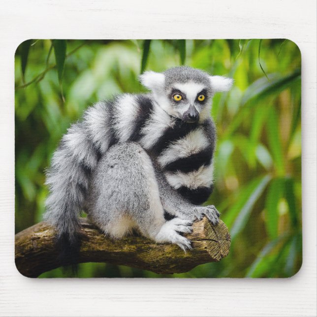 Ring-tailed lemur mouse pad (Front)