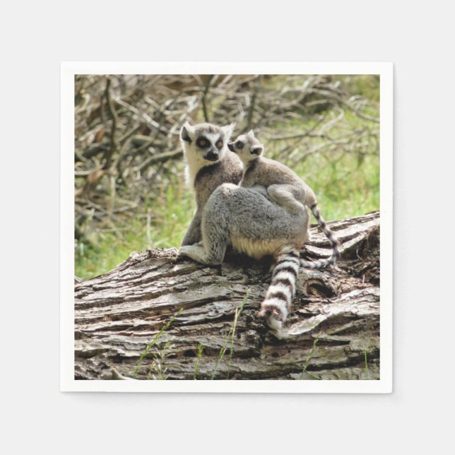 RING-TAILED LEMUR  NAPKIN (Front)