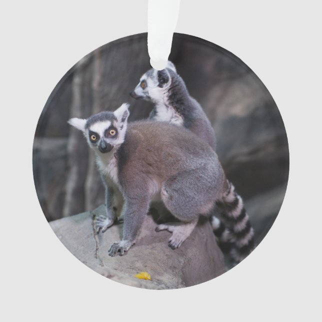 Ring-tailed lemur ornament (Front)