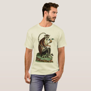 Ring-Tailed Lemur Tee: 1780 Zoology Illustration T-Shirt