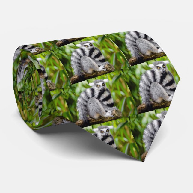 Ring-tailed lemur tie (Rolled)
