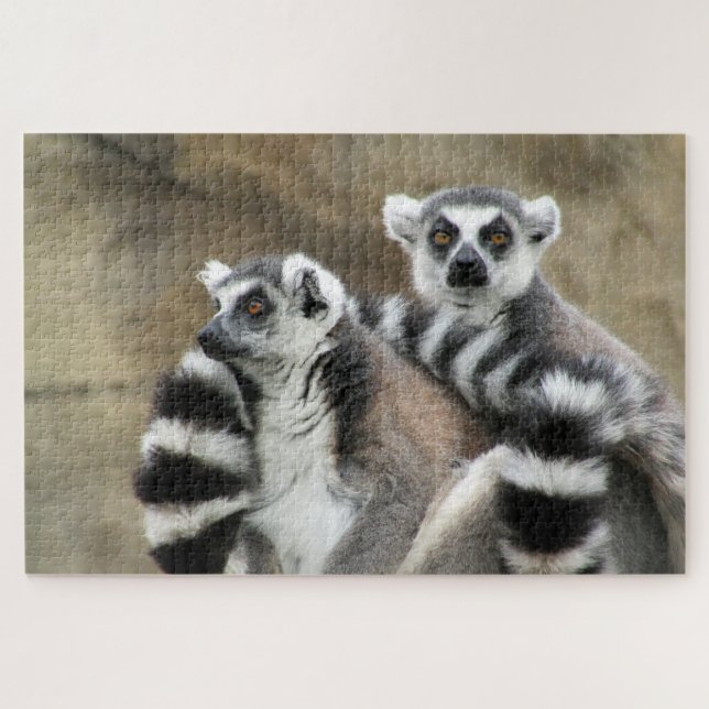 ring tailed lemurs jigsaw puzzle (Horizontal)