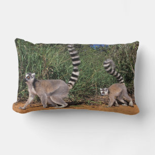 Ring-Tailed Lemurs (Lemur Catta), Berenty Lumbar Cushion