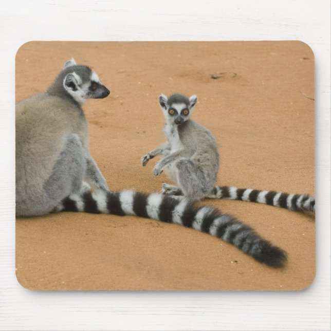 Ring-tailed Lemurs, (Lemur catta), Berenty Mouse Pad (Front)