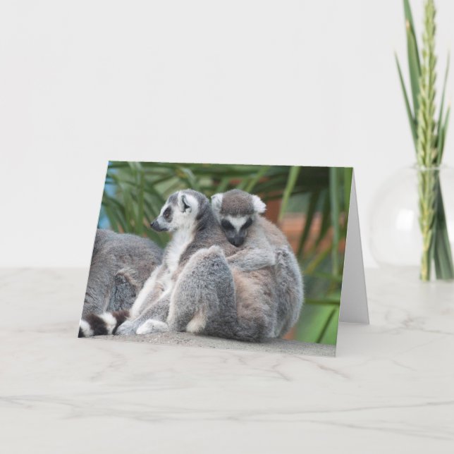 Ring-tailed Lemurs Snuggle Card (Front)