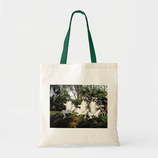 Ring tailed lemurs warming up in Spain Tote Bag (Front)