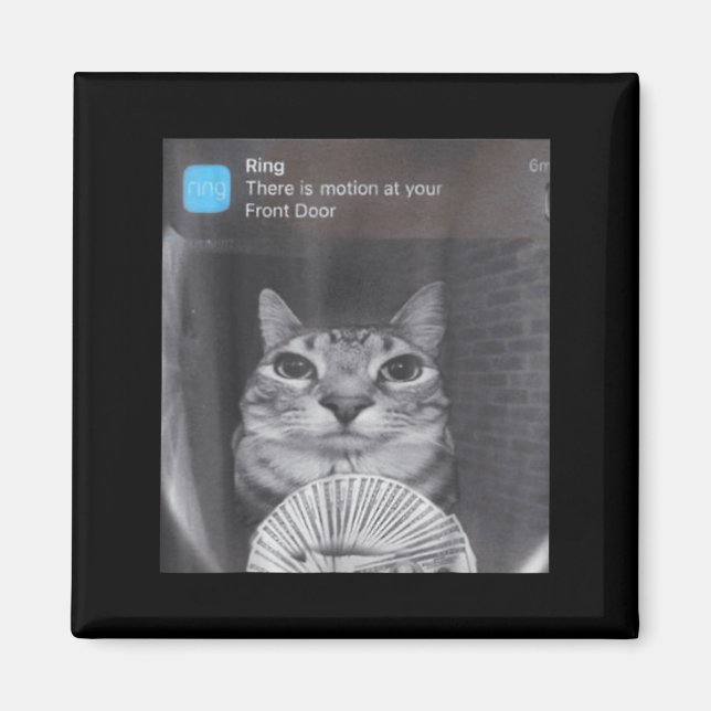 Ring There Is Motion At Your Front Door Funny Meme Magnet (Front)