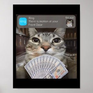 Ring There Is Motion At Your Front Door Funny Meme Poster