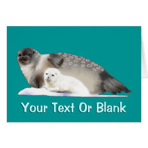 Ringed Seal