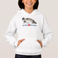 Ringed Seal