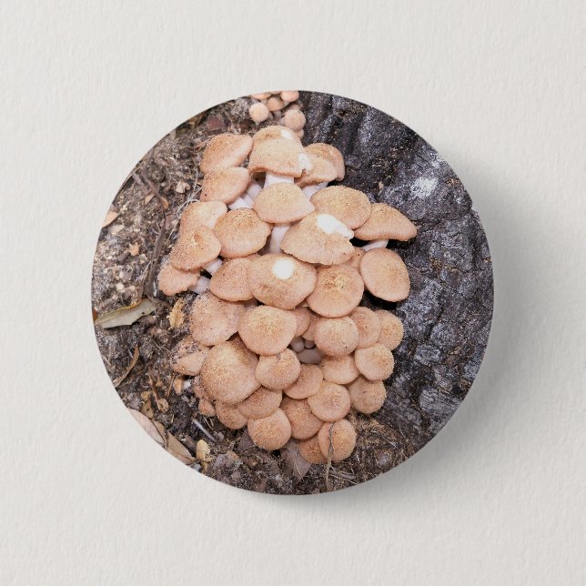 ringless honey mushrooms 6 cm round badge (Front)