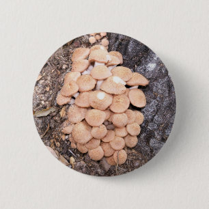 ringless honey mushrooms 6 cm round badge