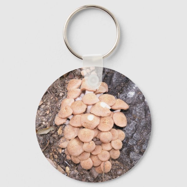 ringless honey mushrooms key ring (Front)