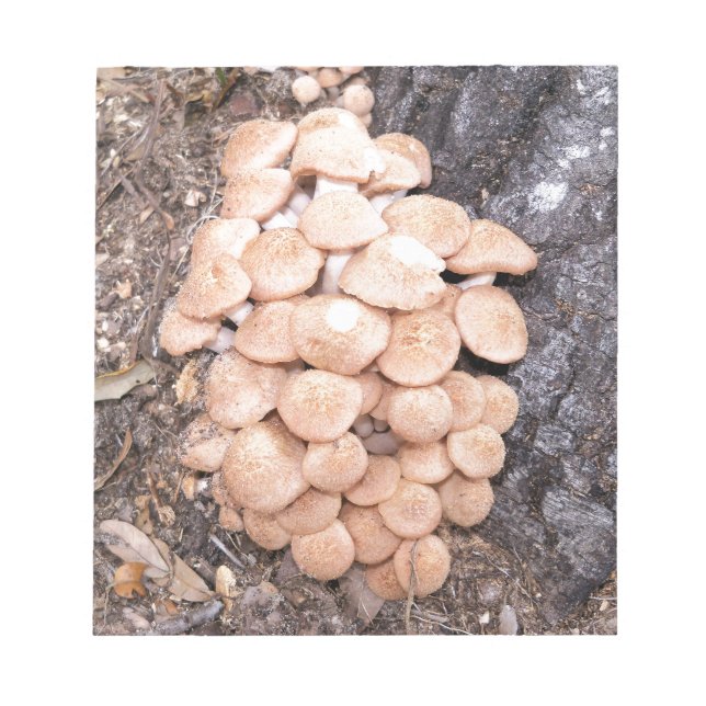 ringless honey mushrooms notepad (Front)