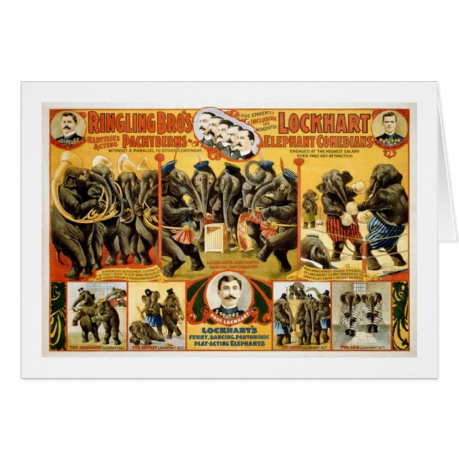 Ringling Bros Pachyderms1899 (Front Horizontal)