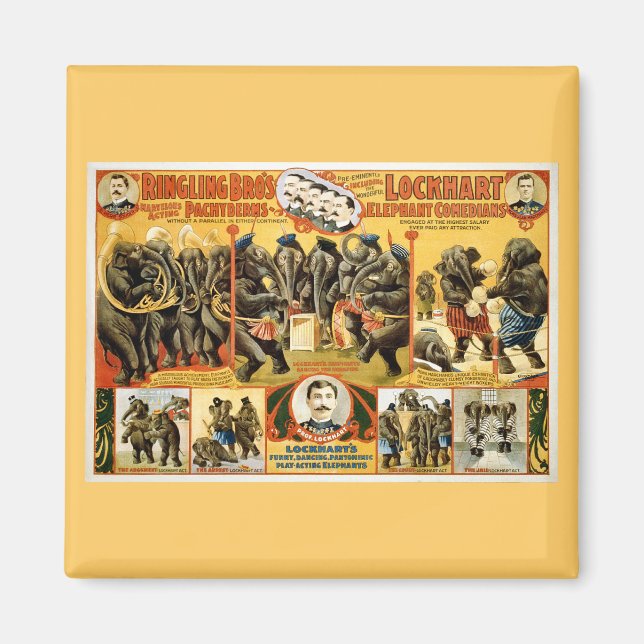Ringling Bros Pachyderms1899 Magnet (Front)