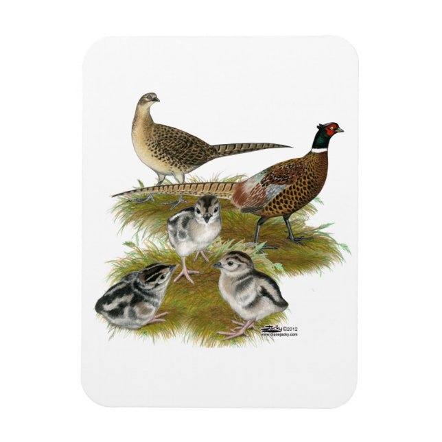Ringneck Pheasant Family Magnet (Vertical)