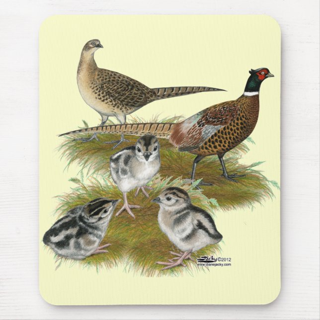 Ringneck Pheasant Family Mouse Pad (Front)