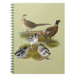 Ringneck Pheasant Family Notebook