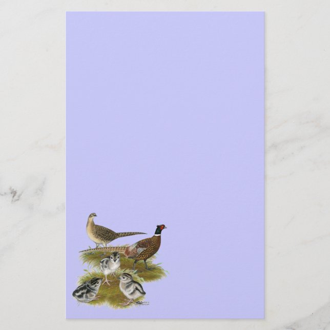 Ringneck Pheasant Family Stationery (Front)