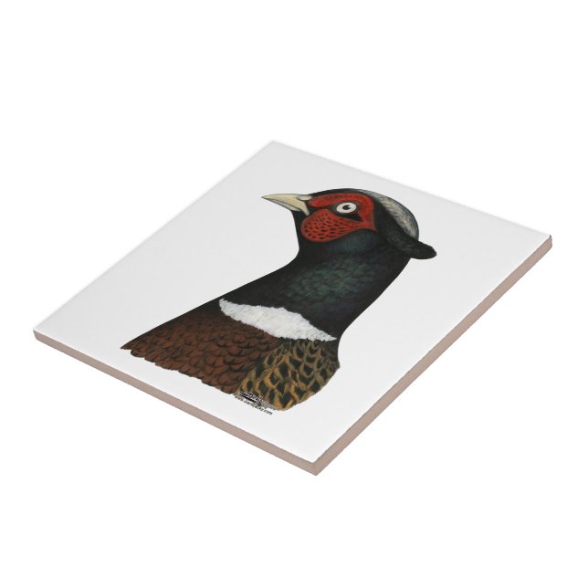 Ringneck Pheasant Head Ceramic Tile (Side)