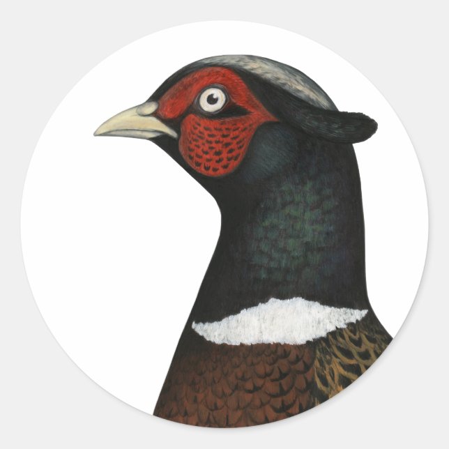 Ringneck Pheasant Head Classic Round Sticker (Front)