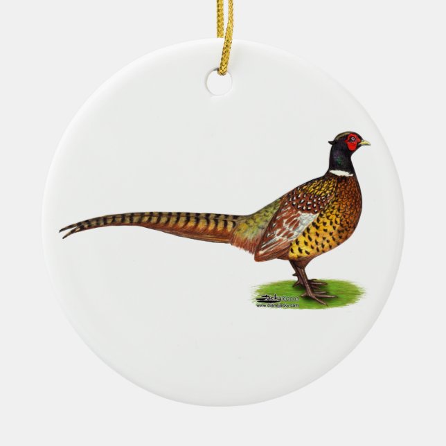 Ringneck Pheasant Rooster Ceramic Tree Decoration (Front)