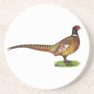 Ringneck Pheasant Rooster Coaster