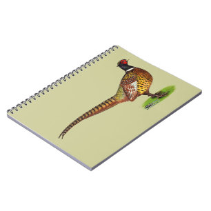 Ringneck Pheasant Rooster Notebook