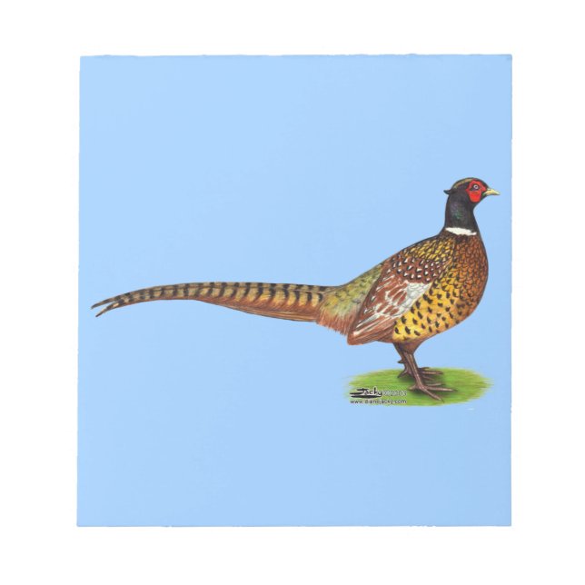 Ringneck Pheasant Rooster Notepad (Front)