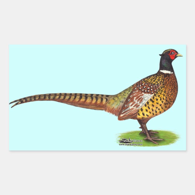 Ringneck Pheasant Rooster Rectangular Sticker (Front)