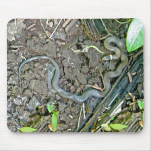 Ringneck Snake Mousepad