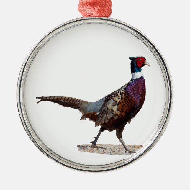 Ringnecked Pheasant Metal Tree Decoration (Front)