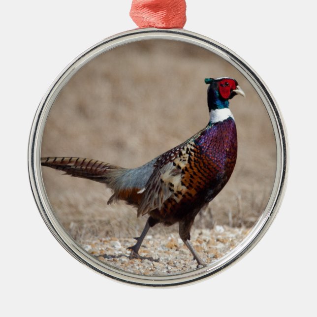 Ringnecked Pheasant Metal Tree Decoration (Front)