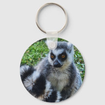 Ringtail Maki Button - Unique Animal Print