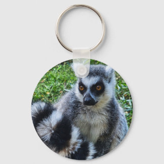 Ringtail Maki Button - Unique Animal Print Key Ring