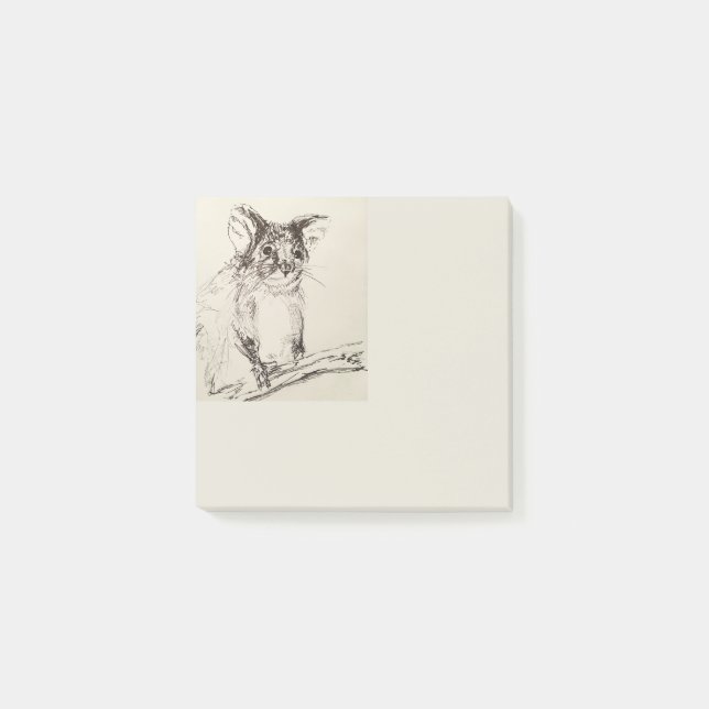 Ringtail Possum Australia Post-it Notes (Front)