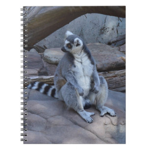 Ringtail Possum Foreman At Work,  Notebook