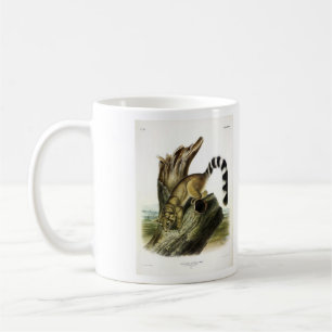 Ringtail (Ring-tailed Bassaris, Ringtailed Cat) Coffee Mug