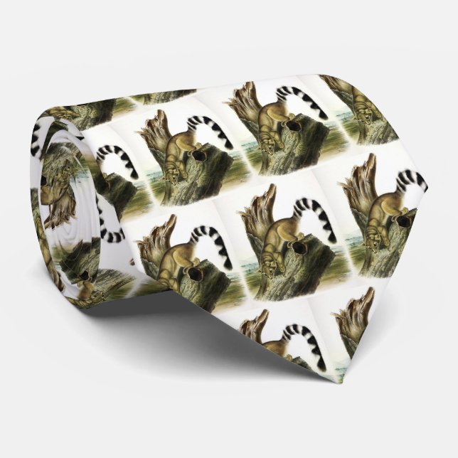 Ringtail (Ring-tailed Bassaris, Ringtailed Cat) Tie (Rolled)