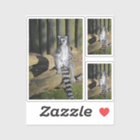 Ringtailed Lemur Drusillas Custom-Cut Sticker