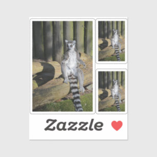 Ringtailed Lemur Drusillas Custom-Cut Sticker