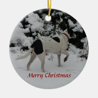 Rio Dog Snow Point Ceramic Ornament