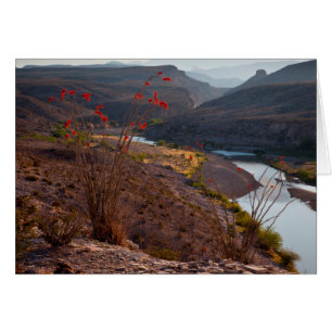 Rio Grande Running Through Chihuahuan Desert
