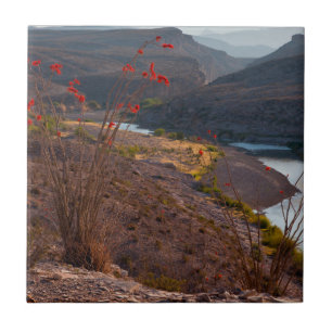 Rio Grande Running Through Chihuahuan Desert Ceramic Tile