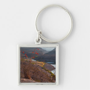 Rio Grande Running Through Chihuahuan Desert Key Ring