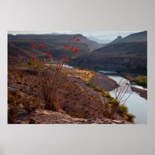 Rio Grande Running Through Chihuahuan Desert Poster