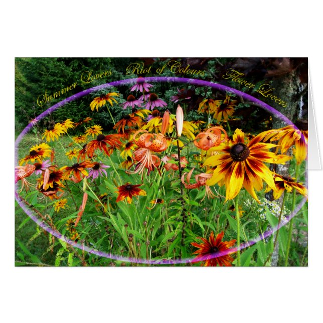 Riot-of-Colors-Garden (Front Horizontal)