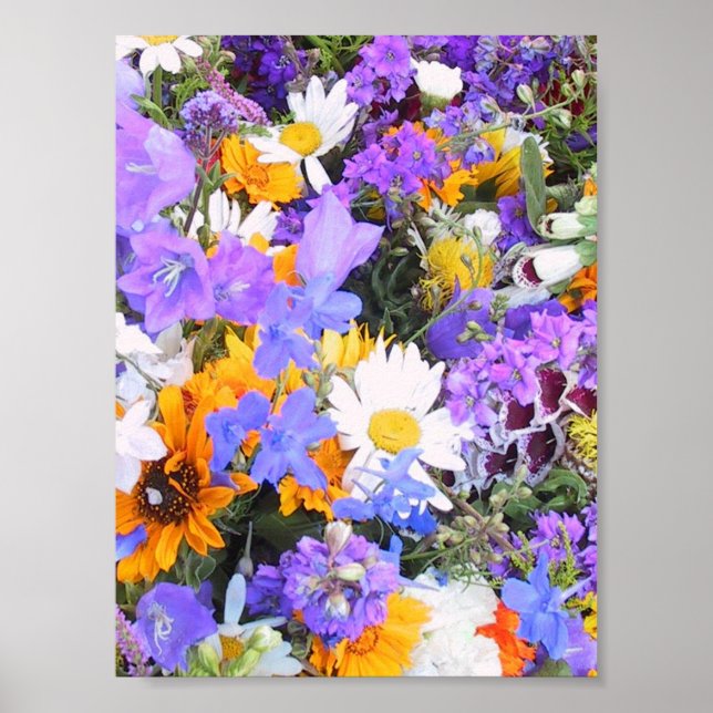 Riot of Floral Colours Poster (Front)